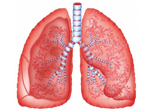 bệnh bụi phổi bông